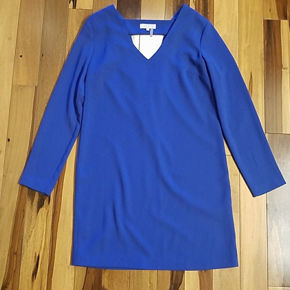 🌟🆕1. State Blue Dress with back opening